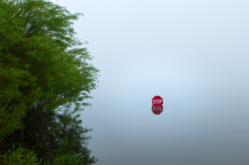 Stop Swimming by Doug Derksen